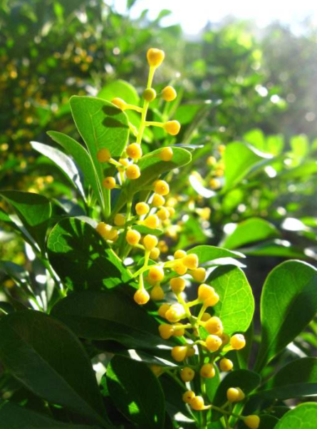 耐酸磚，盲道磚，陶瓷透水磚源頭生產廠家到底適不適合參加展會